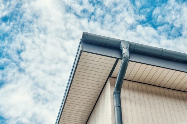 Gutter Fascia Repair in Winder