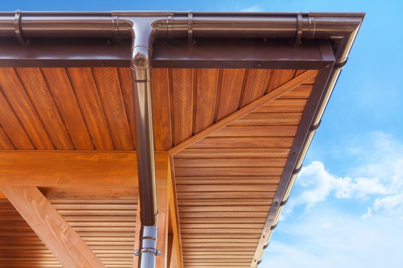 Copper Gutter Service detail