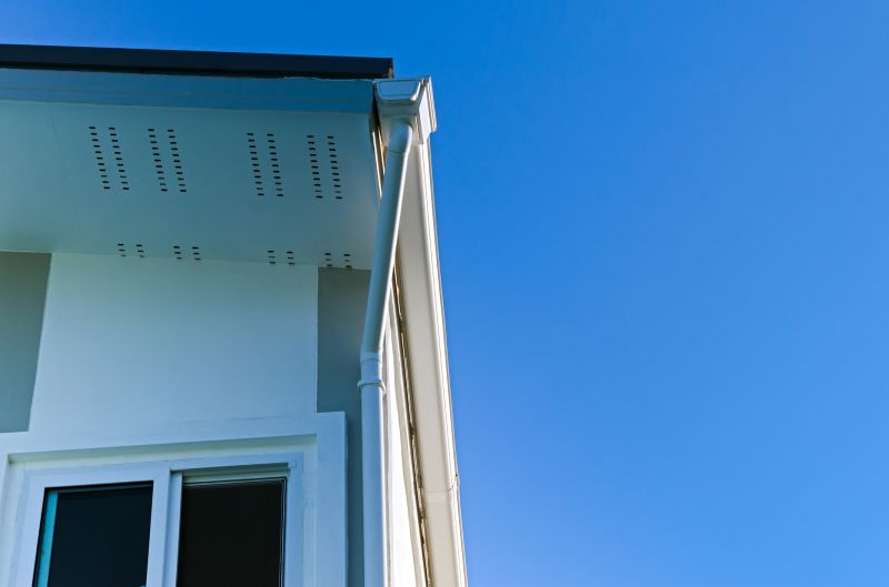 Gutter Service detail