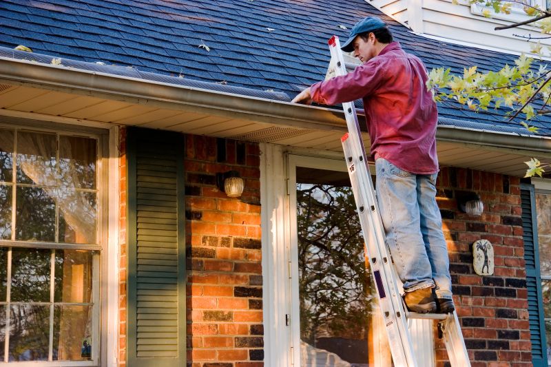 Rain Gutter Repair detail
